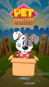 Pet Shelter