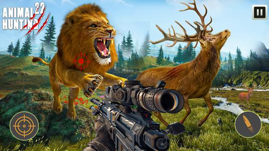 Wild Deer Games- Zoo Games