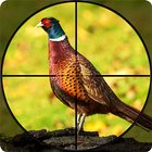 Pheasant Shooter