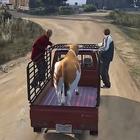 Animal Cargo Truck Transport