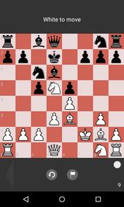 Chess Tactic Puzzles