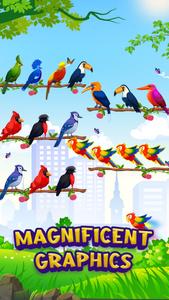 Puzzle Color Bird match games