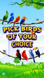 Puzzle Color Bird match games