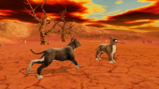 Pitbull Dog Simulator