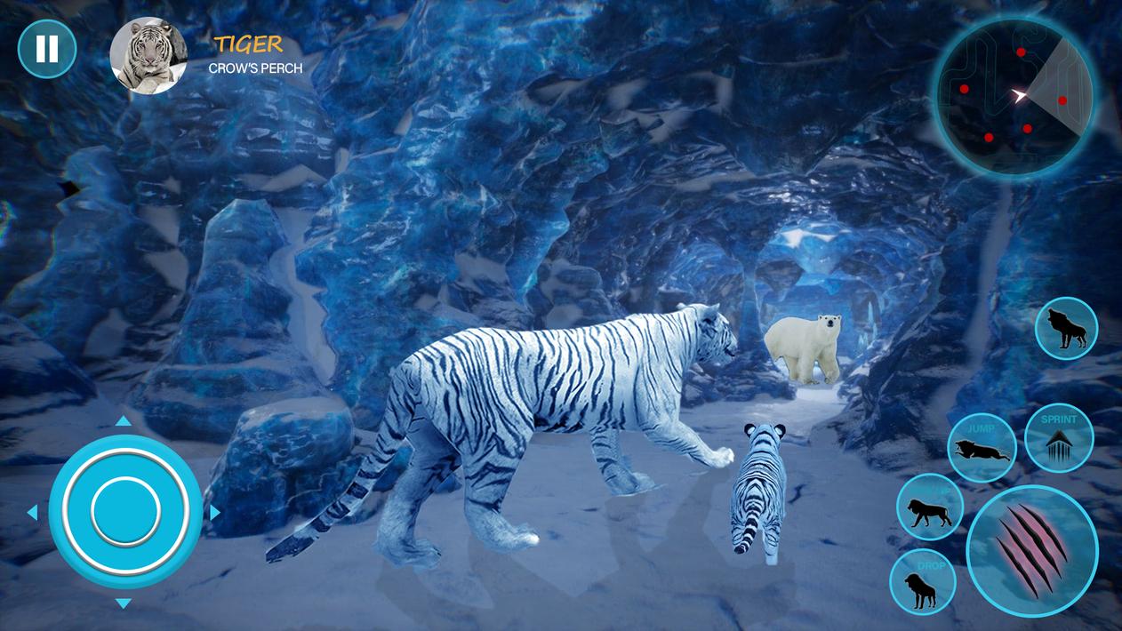 Wild White Tiger Family Sim