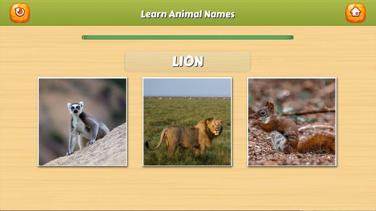 Learn Animal Names