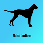 Pawdometer - Match the Dogs