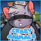 Crazy Animals