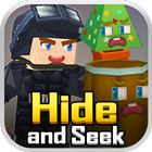 Hide and Seek