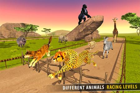 Tiger Cheetah Lion Race Games