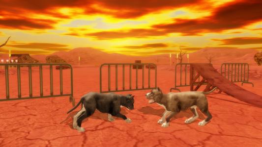 Pitbull Dog Simulator