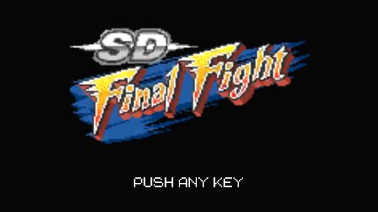 SD FINAL FIGHT