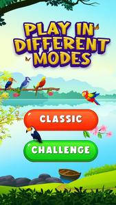 Puzzle Color Bird match games