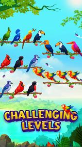 Puzzle Color Bird match games