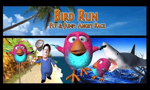 Bird Run, Fly & Jump