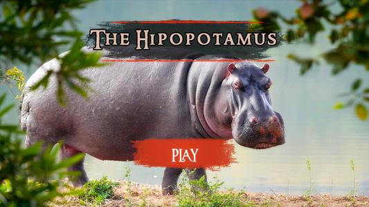 The Hippo