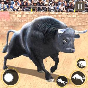 Bull Fighting