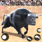 Bull Fighting