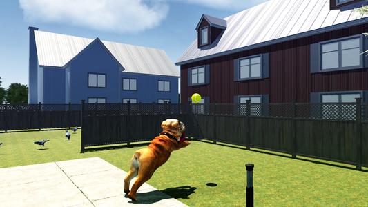 Bull Dog Simulator