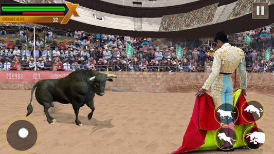 Bull Fighting