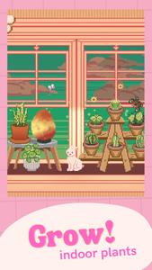 Window Garden