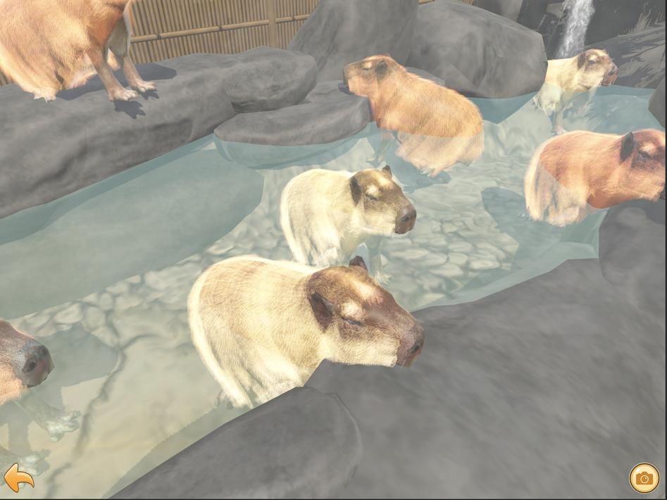 Capybara Spa