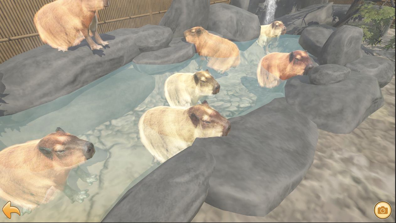 Capybara Spa