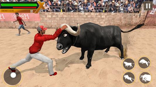 Bull Fighting