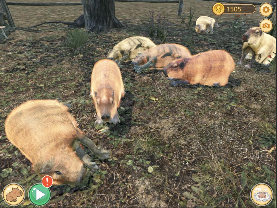 Capybara Spa