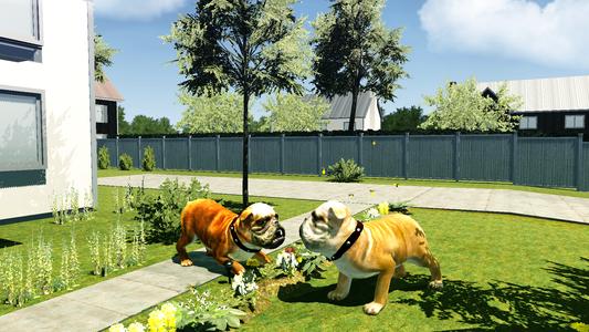 Bull Dog Simulator