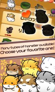 Hamster Life