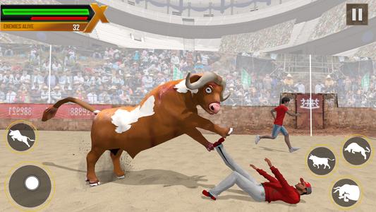 Bull Fighting