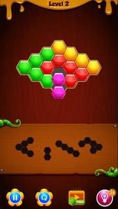 Hexa Puzzle