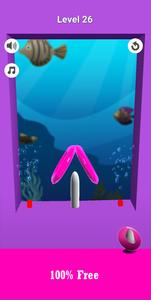 Water Ring Toss 3D Puzzle Game