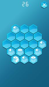 Hex Puzzle