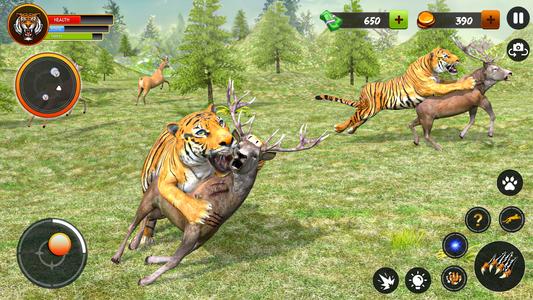 Tiger Games Wild Animal Games