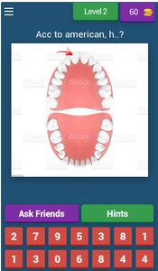 Tooth Numbering Quiz