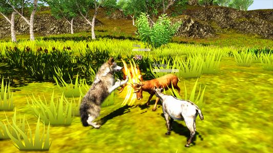 The Wolf Simulator