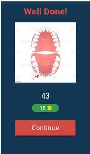 Tooth Numbering Quiz