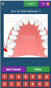 Tooth Numbering Quiz