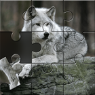 Wolf Jigsaw Puzzle Games