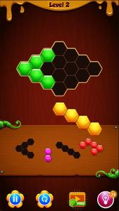 Hexa Puzzle