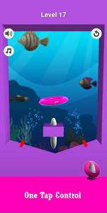 Water Ring Toss 3D Puzzle Game