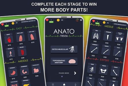 Anato Trivia