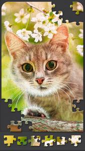 Jigsaw Puzzles for Adults