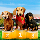 Dachshund Dog Simulator