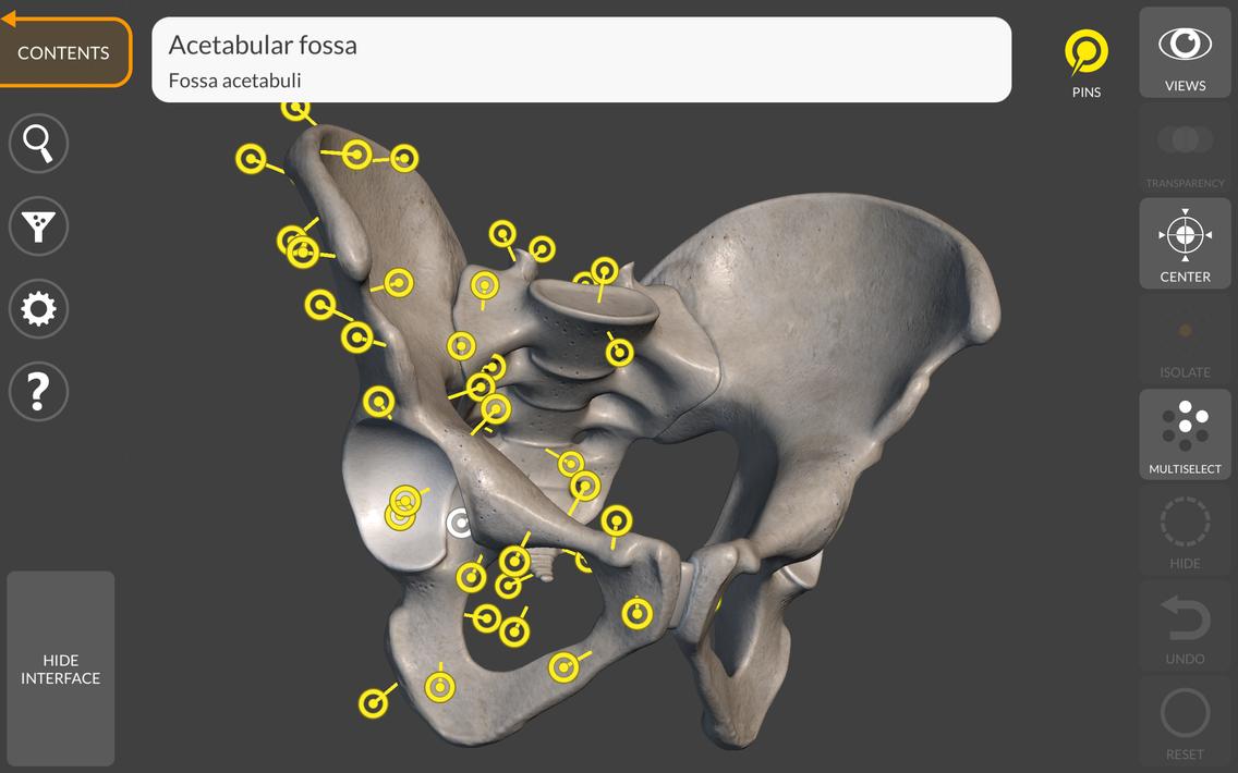 3D Anatomy for the Artist