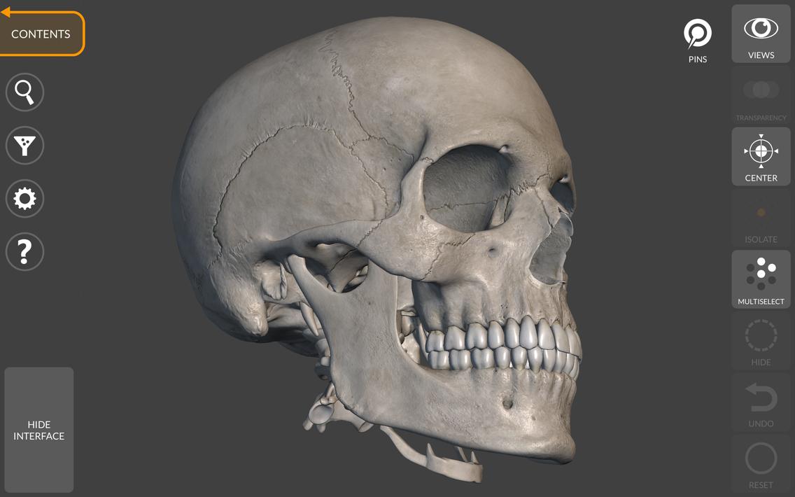 3D Anatomy for the Artist