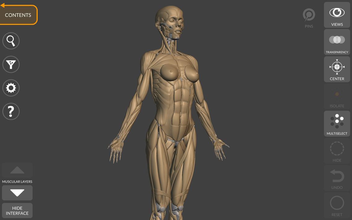 3D Anatomy for the Artist