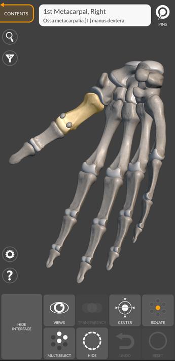 3D Anatomy for the Artist